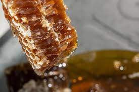 Bahia investe mais de R$61 milhões no sistema produtivo do mel | Criativa  Online